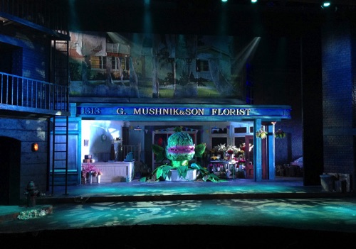 Little Shop of Horrors
Theatr Clwyd - 2015
Musical Direction

Director - Tim Baker
Photo by Catherine Ashmore